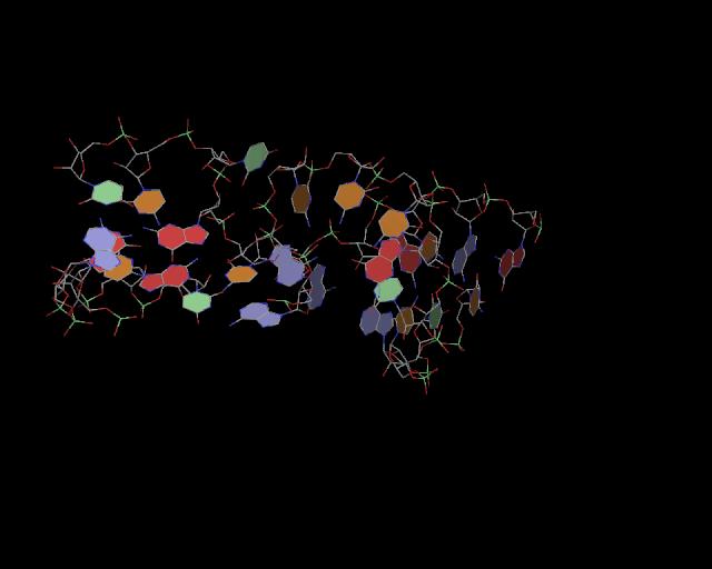 3d structure of junction